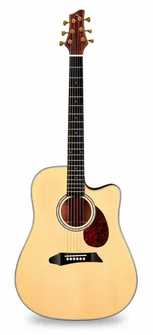 NG DM411SC NA акустическая гитара