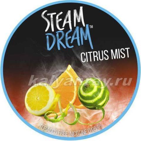 Steam Dream - Цитрусовый микс