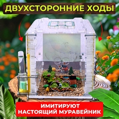 Большая муравьиная ферма 