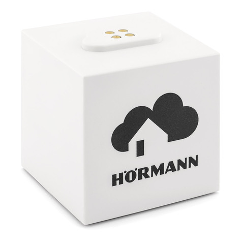 Базовый «кубик»  homee Brain Херманн