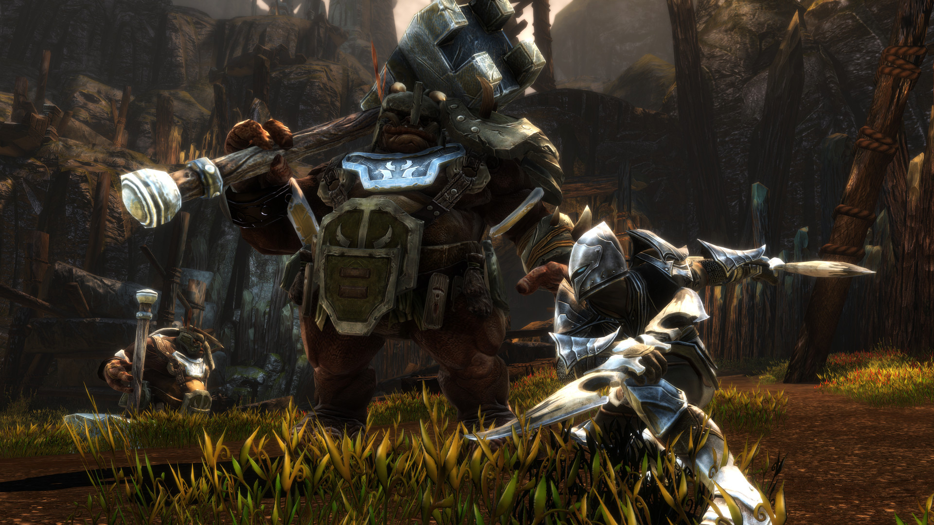 Kingdoms of amalur steam фото 12