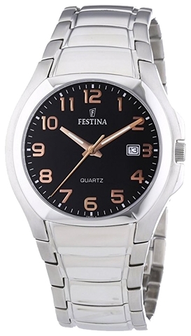 Наручные часы Festina F16262/A фото