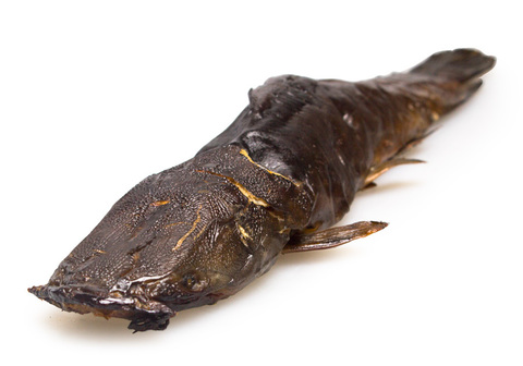 Клариус тушка г/к~600г