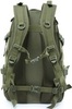 Картинка рюкзак тактический Skully Tactic RWZS20 green - 2