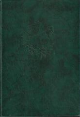 Семь подземных королей. Огненный бог Марранов