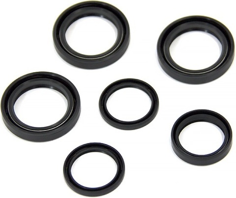 Комплект сальников переднего редуктора Bronco AT-03598 для Polaris Sportsman 400 HO 4X4/500 HO/Fore