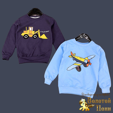 Свитшот хлопок м (2-5) 240826-GF1344