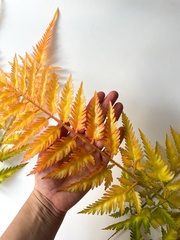 Папоротник осенний оранжевый, зелень искусственная, 60 см, набор 5 веток.