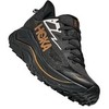BLACK / GOLD