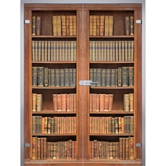 Купить Двустворчатая стеклянная дверь Books триплекс фотопечать