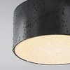 Потолочный светильник Maytoni Zon ip O430CL-L15B3K
