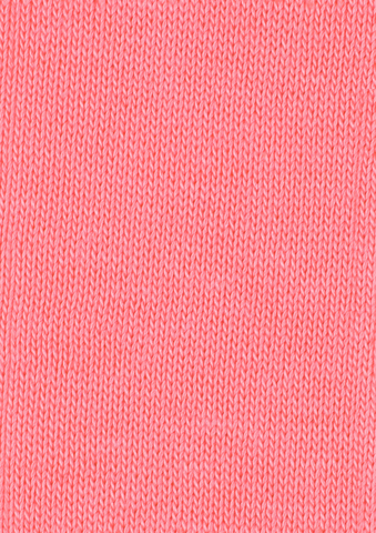 Носки Catspads FALKE 10603/8790