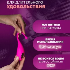 Виброяйцо Palpitation фуксия от Adrien Lastic (синхронизация с приложением)