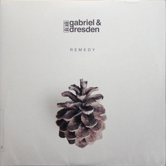 Gabriel & Dresden / Remedy (2LP)