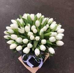55 белых тюльпанов в коробке