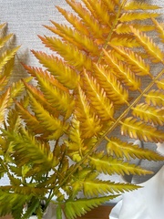 Папоротник осенний оранжевый, зелень искусственная, 60 см, набор 5 веток.