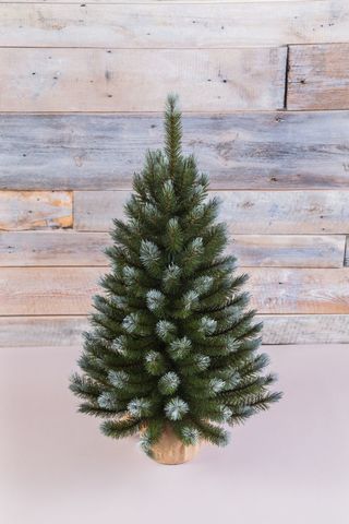 Ель Женева 90см в мешочке заснеженная Triumph Tree