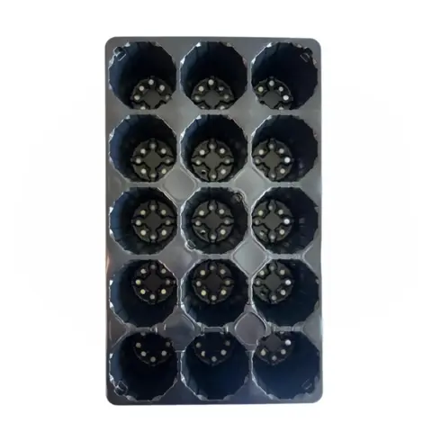 Кассета для рассады пластиковая, 15 ячеек