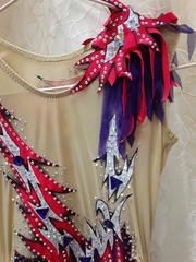 Купальник для выступления б/у групповые