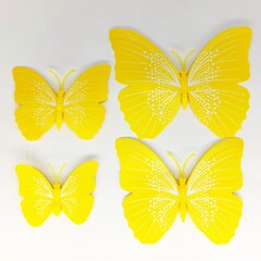 Набор бабочек на булавке, р. 6-11 см.