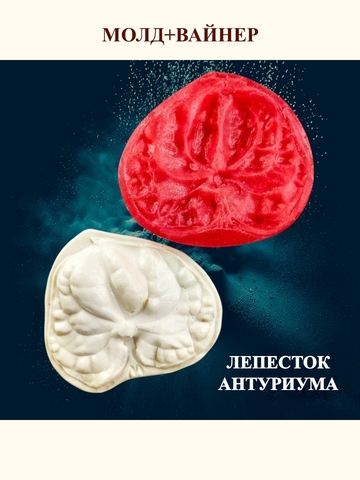 Молд+Вайнер 