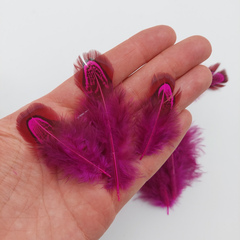 Перья фазана натуральные, около 5-8 см., 10 шт. (выбрать цвет)
