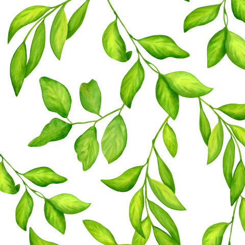Сочные акварельные зеленые листья