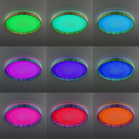 Потолочный светодиодный светильник Citilux ENZO CL753452G