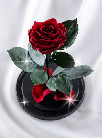 Роза в колбе премиум бордо