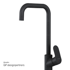 Смеситель для кухни с G-образным изливом, черный, AM.PM Like - F8006022