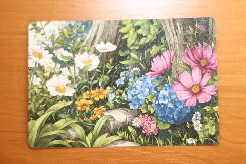 Цветочная поляна