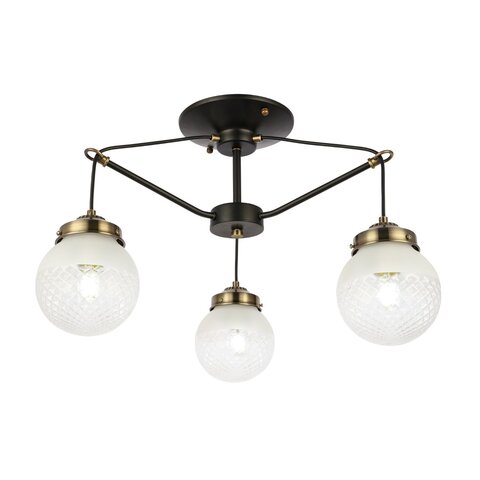 Светильник потолочный Evoluce Stricce SLE110302-03