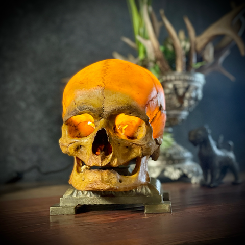 Ночник «Don Lucky»