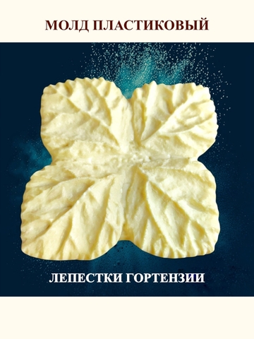 Молд 