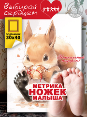 Метрика ножек "Белка"