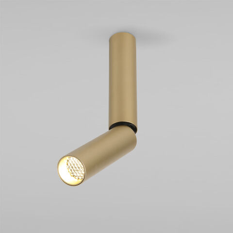 Накладной светодиодный светильник Elektrostandard Pika 25029/LED 6W 4200K золото