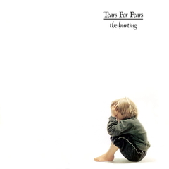 Tears For Fears / The Hurting (LP)