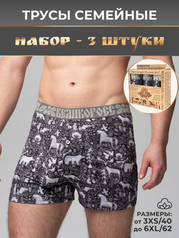 Комплект из 3-х семейных трусов - «Ночная тайга»