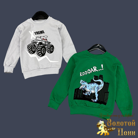 Свитшот хлопок м (2-5) 240826-GF1345