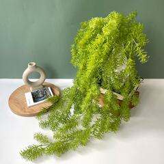 Ампельное растение, искусственная зелень, Аспарагус свисающий зеленый, 80 см.