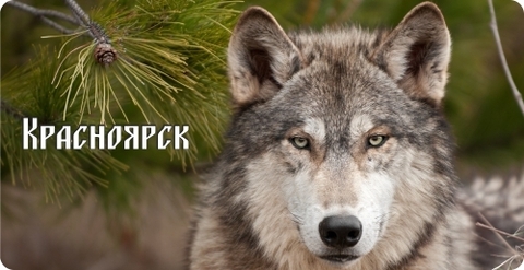 Урал Сувенир - Красноярск кружка керамика 300 мл №0029