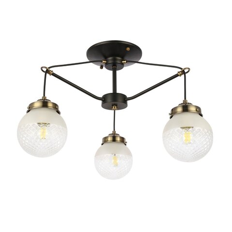 Светильник потолочный Evoluce Stricce SLE110302-03