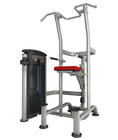 Подтягивание/Отжимание AeroFit IT9520. Стек 91 кг