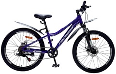 Велосипед 24" Nameless J4200DW, фиолетовый, 12"