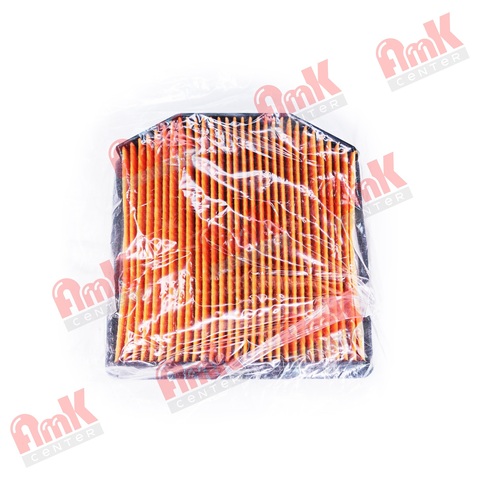 Фильтр воздушный OEM Triumph T2204242