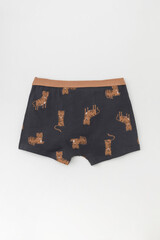 набор трусы/ уп  для мальчика  К 1980-2уп/индийский загар,темно-серый,тигры Ал