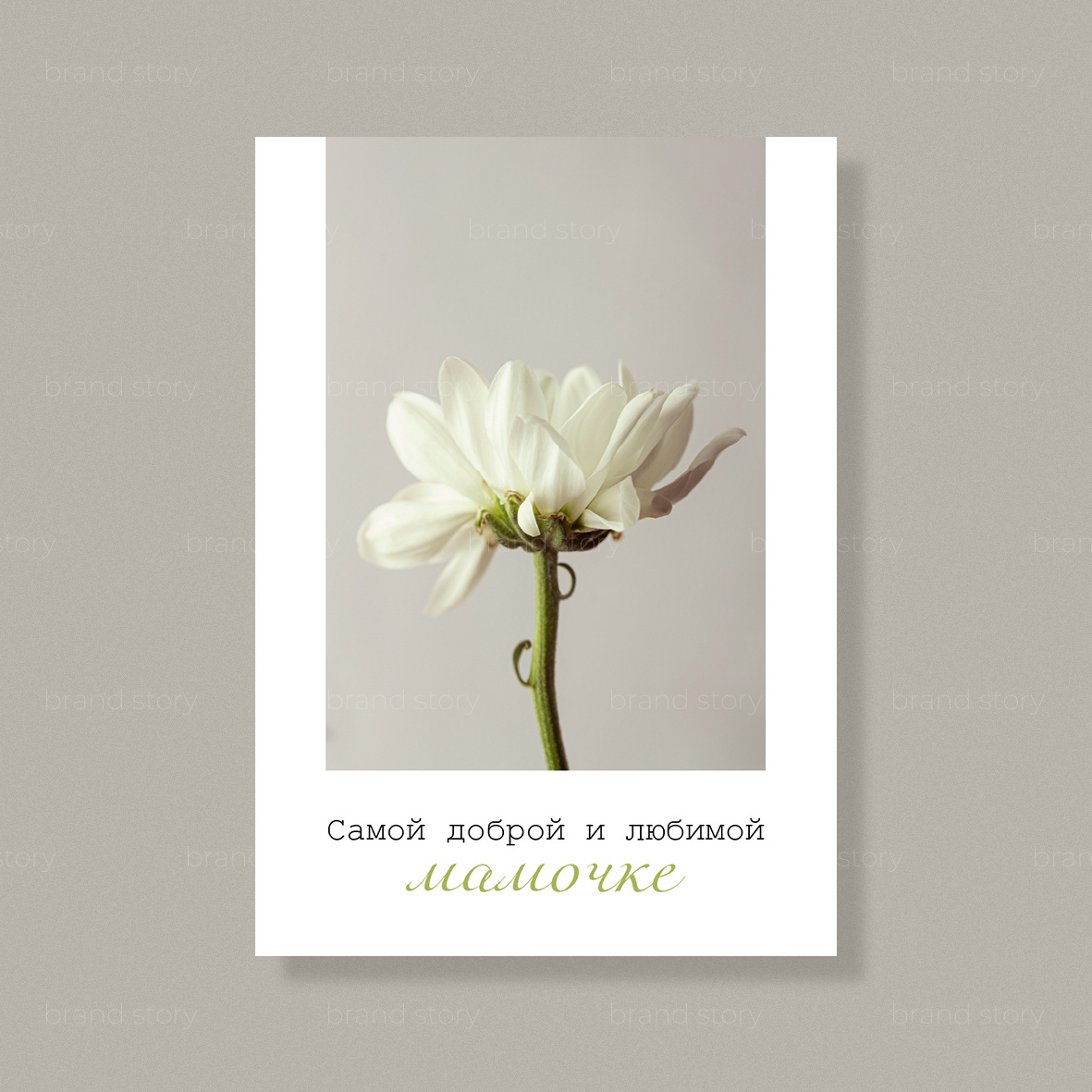 Открытка К26 (10 шт.) 7 х 10 см