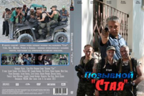 Позывной «Стая» (2 сезона)