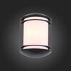 Светильник уличный ST Luce Agio SL076.401.01
