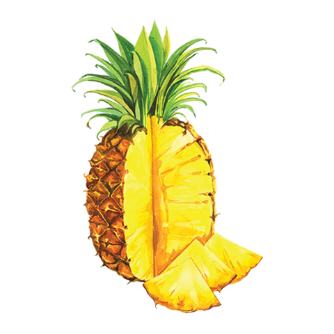 Сироп Ананас ProffSyrup